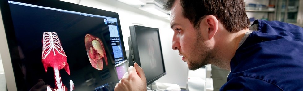 Individual looking at an organ and skeleton displayed on a monitor